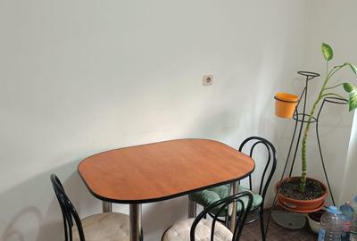 Tineretului metrou PARC Piata Norilor DECOMANDAT,renovat recent Mobilat UTILAT - 4