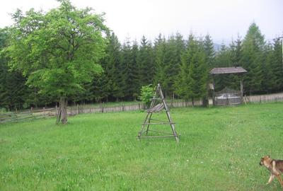 Teren intravilan Valea Doftanei - 7