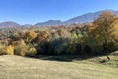 Teren de 2500 mp, în Bran - 2