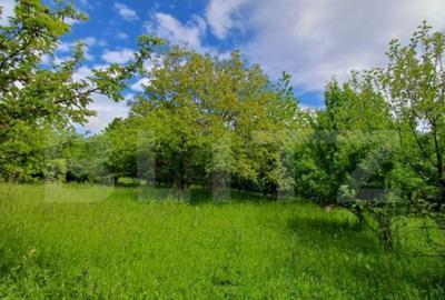 Casa 3 camere si teren 4873 mp in Pietroasa, Moldovenesti - 17