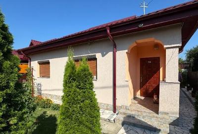 Vand casa de caramida Roman - 1