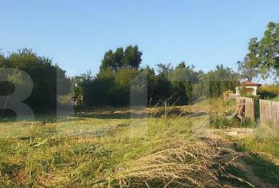 Casă cu 5 camere cu Teren 1206 Mp în Feleacu - 7