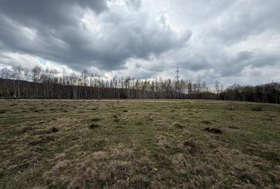 Teren de 15000 mp, în Izvoru - 1