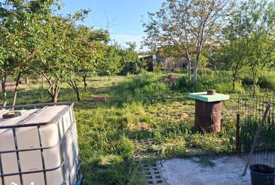 Casă cu 4 camere cu Teren 720 Mp în Fântânele - 1