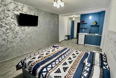 Garsonieră semidecomandată în Calea București - 4