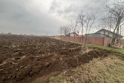 Teren de 2000 mp, în Vasile Alecsandri - 9