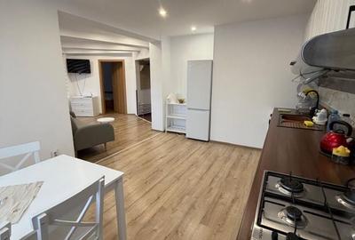 Apartament cu 2 camere decomandat, mobilat în Lazaret - 4