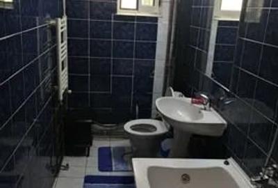 Apartament cu 2 camere, decomandat, zona Podu de Fier - 5