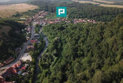Teren Construcții intravilan de 13861 mp, în Est - 29