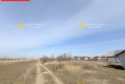 Teren 600mp in Vanatori la iesirea spre Odaia Manolache - 3
