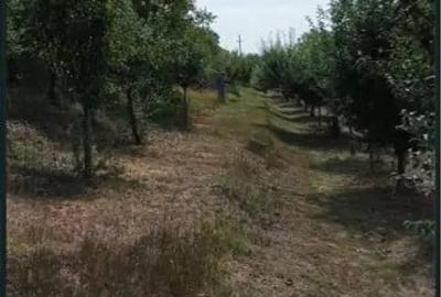 Teren de 2100 mp, în Gârbova - 3