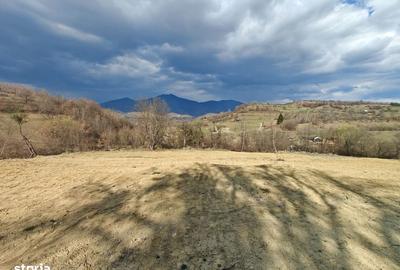 Teren de 12050 mp, în Josenii Bârgăului - 1