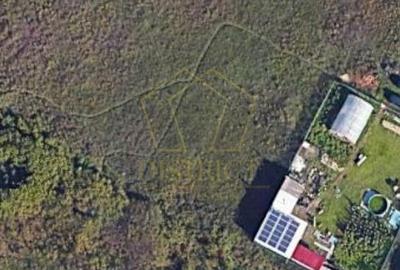 Teren constructii duplex sau individuala | Ciarda Rosie | Hornbach - 2