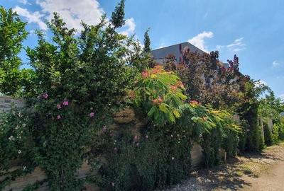 Cea mai buna locatie! Comuna Berceni - 9