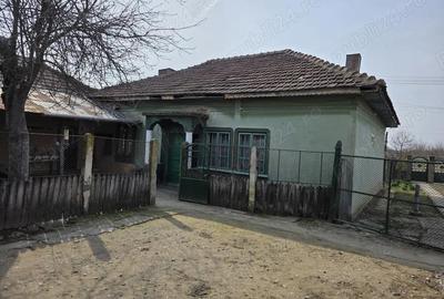 Casă cu 3 camere cu Teren 3600 Mp în Celaru - 3