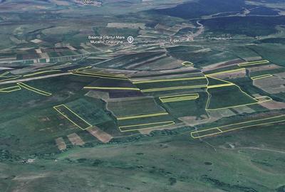 Teren de 500000 mp, în Bunești - 4