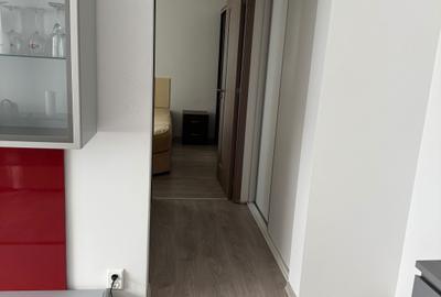 Apartament cu 2 camere semidecomandat în Camil Ressu - 5