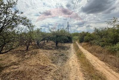 Teren de 3995 mp, în Săldăbagiu de Munte