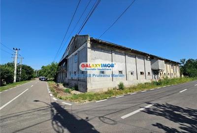 Vanzare Moara cu spatii Industriale situate in comuna Daia jud Giurgiu - 32