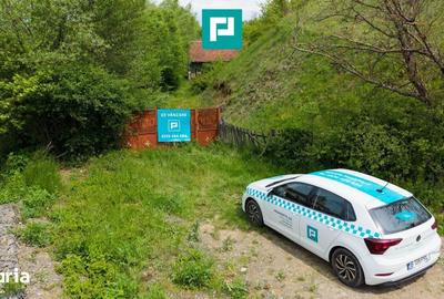 Casă cu 2 camere cu Teren 24494 Mp în Traian Vuia - 1