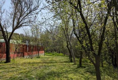 Teren de 1500 mp, în Șimnicu de Sus - 9