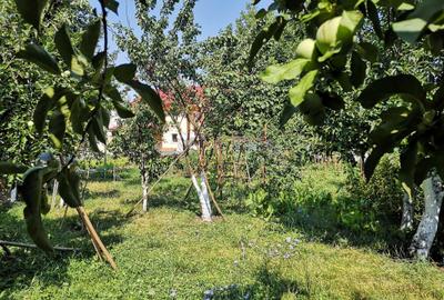 Casă cu 4 camere cu Teren 2463 Mp în Bartolomeu - 2