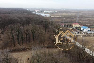 Dragomiresti Vale-Padure-teren intravilan, certificat urbanism 2025 - 9