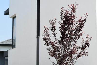 Casă individuală cu 4 camere cu Canalizare în Tunari - 6