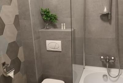 Apartament cu 2 camere - zona Podu Ros - Lazar Residence - 11