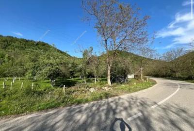 Teren 2000mp | Muntele Mic - 2