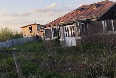 Casă cu 2 camere în Nămoloasa - 1