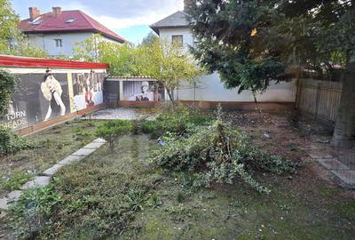 Casa de inchiriat Parcul Circului Bdul Lacul Tei, curte proprie, la bulevard - 13