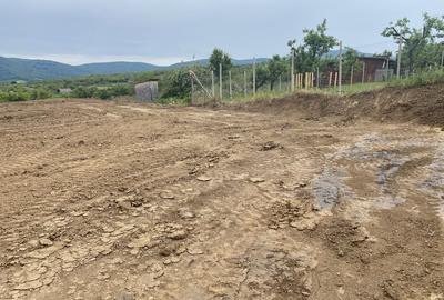 Casă cu 4 camere în Central - 4