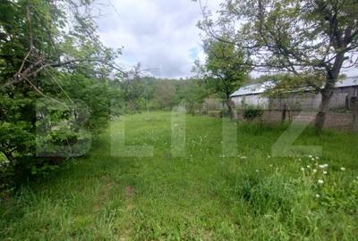 Casa de vanzare in centru, 16,5 ari teren, Nasaud - 3