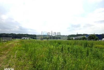 Spațiu comercial, în Ciolpani - 1