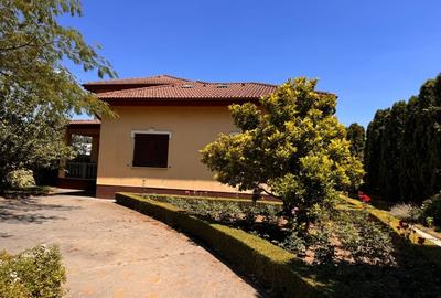 Casa P+M, 2200 MP teren, 450 MP utili, Bariera Valcii - 9