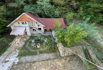 Proprietate D+P+1+M - Baile Sacelu *poten?ial de business Proprietate D+P+1+M - Baile Sacelu *poten?ial de business - 8