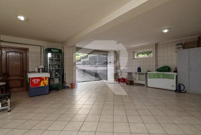 Casa cu teren de 3000 mp - ponton la lac - piscina si casa de oaspeti - 38