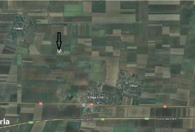 Spațiu comercial, în Dor Mărunt - 5