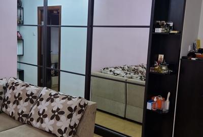 Calea Calarasilor-Matei Basarab-studio - 6