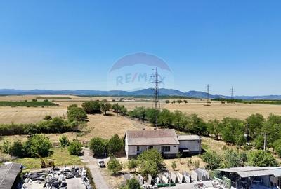 Ferma de vanzare  in Simeria - 10