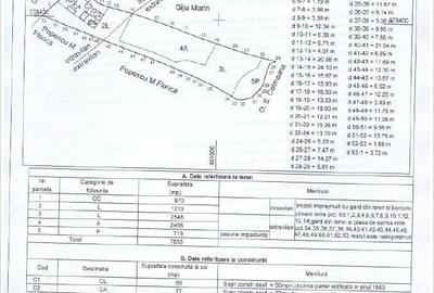 Casă cu 3 camere cu Teren 7800 Mp în Central - 1