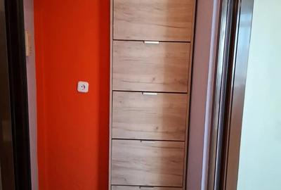 Inchiriez apartament cu o camera in zona ultimul leu - 5