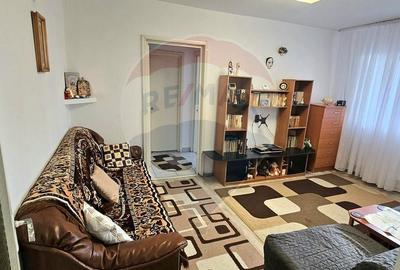 Apartament cu 2 camere semidecomandat, mobilat în Milcov - 8