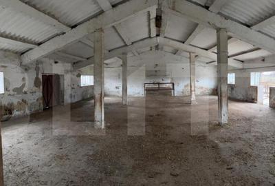 Spațiu comercial, de 740 mp, în Iratoșu - 3