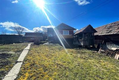 Tur Virtual! Casa traditionala+ domeniu de 4.300 mp,livada, anexe:refugiu apreci - 3