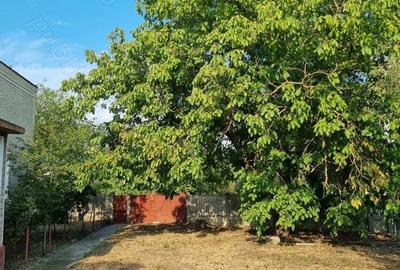 Casa de vanzare Poganu Olt - 2