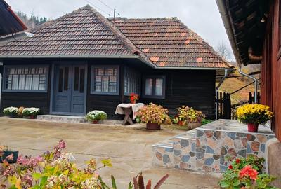 Casă individuală cu 5 camere cu Teren 49690 Mp în Alun (Boșorod) - 1