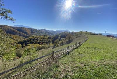 Spațiu comercial, în Central - 3