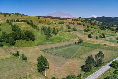 Teren Manastirea Humorului / Strada Principala 22,238 MP - 6